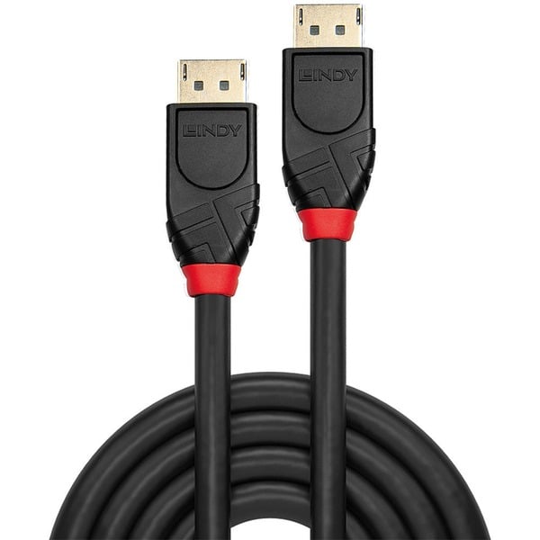 Lindy Aktives DisplayPort 1.2 câble - Lindy - vue 2